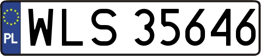 WLS35646