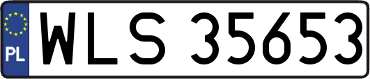 WLS35653