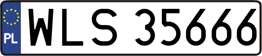 WLS35666