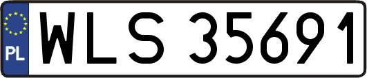 WLS35691