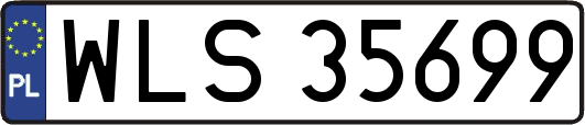 WLS35699