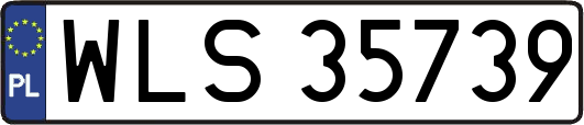 WLS35739