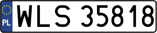 WLS35818