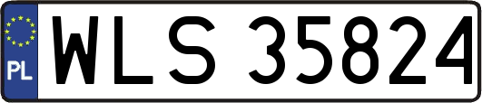 WLS35824
