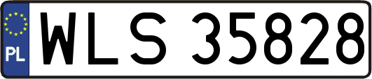 WLS35828