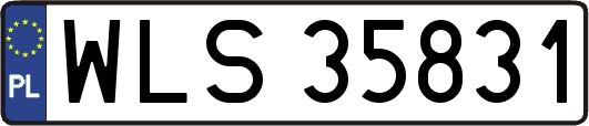 WLS35831