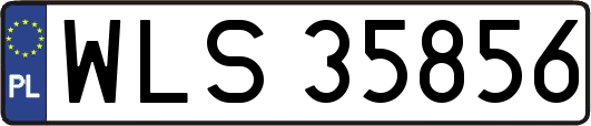 WLS35856