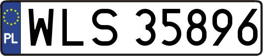 WLS35896