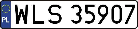 WLS35907