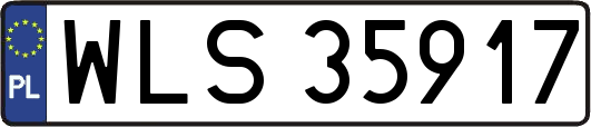 WLS35917
