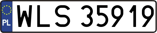 WLS35919