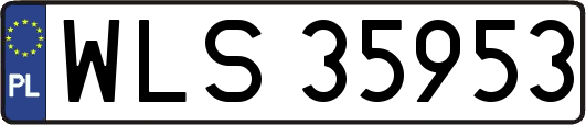 WLS35953