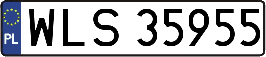 WLS35955