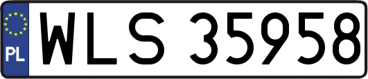 WLS35958