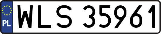 WLS35961