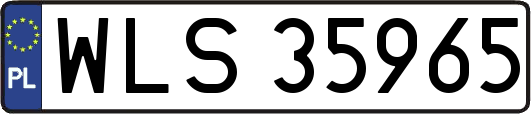 WLS35965