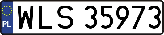 WLS35973