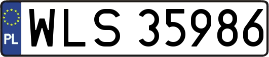 WLS35986