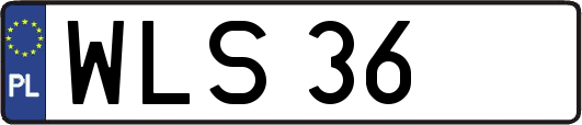 WLS36