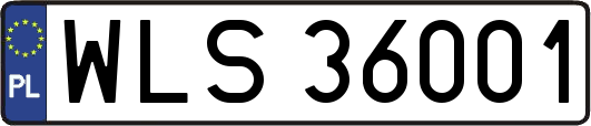 WLS36001
