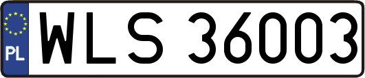 WLS36003