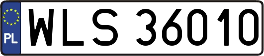 WLS36010