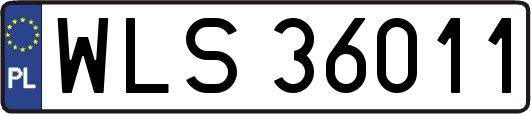 WLS36011