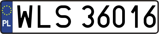 WLS36016