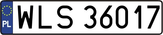 WLS36017