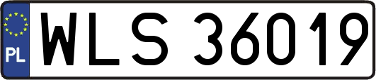 WLS36019