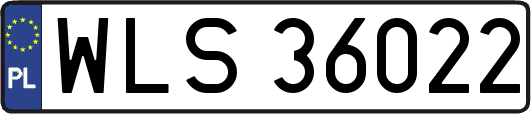 WLS36022