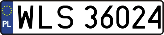 WLS36024