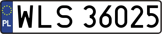 WLS36025
