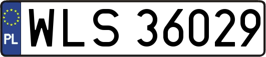WLS36029