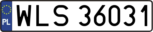 WLS36031