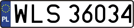WLS36034