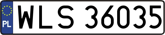 WLS36035