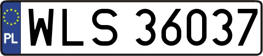 WLS36037