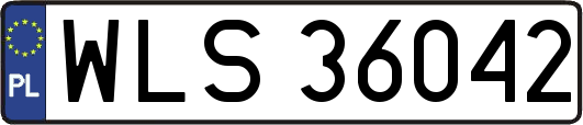 WLS36042
