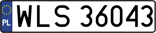 WLS36043
