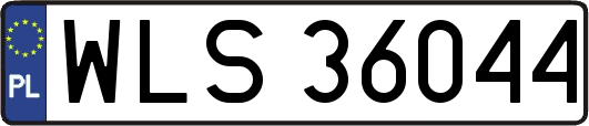 WLS36044
