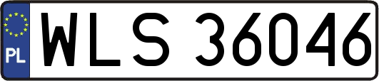 WLS36046