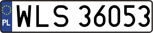WLS36053