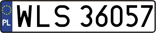 WLS36057