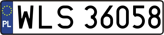 WLS36058