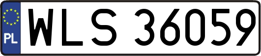 WLS36059