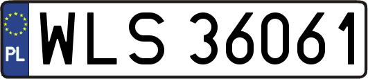 WLS36061