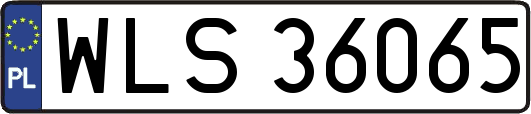 WLS36065