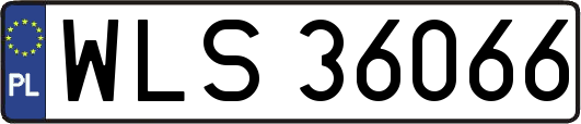 WLS36066