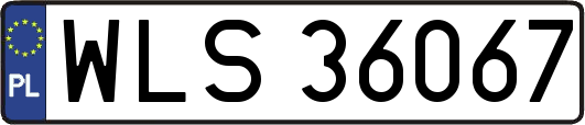 WLS36067